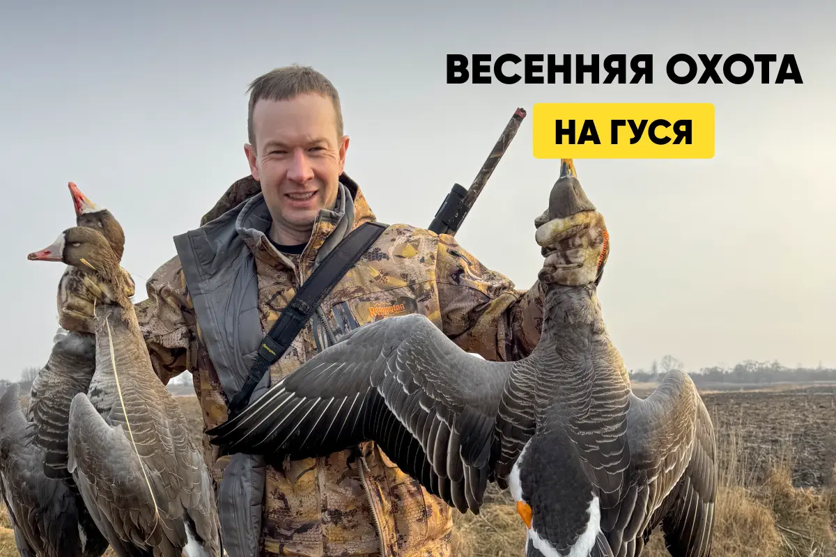Весенняя охота на гуся: особенности, выбор чучела, как сделать скрадок