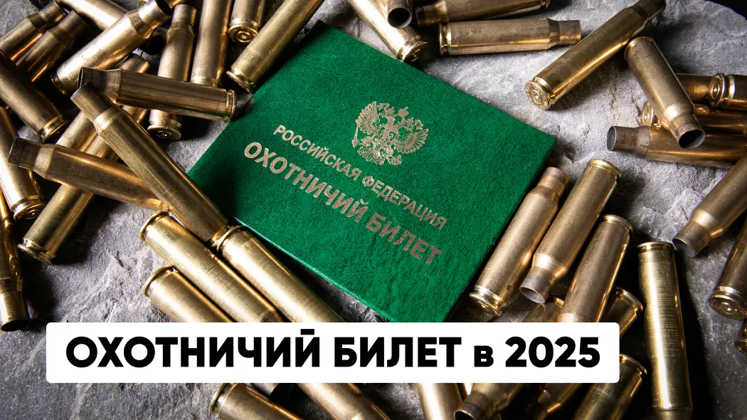 Как получить охотничий билет в 2025: экзамен на охотминимум