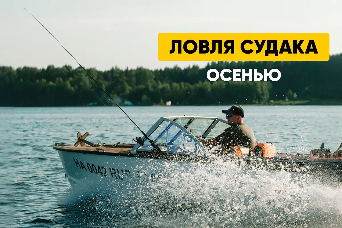 Ловля судака осенью: особенности, места обитания, снасти и приманки