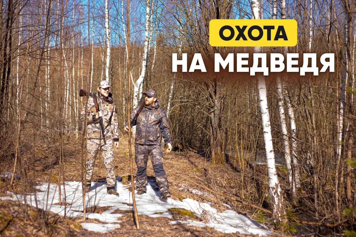 Охота на медведя: с лабаза, с подхода, на приваде, на овсах, с лайками