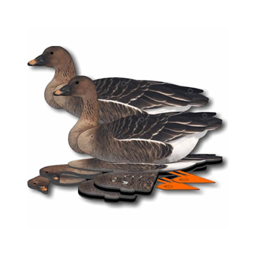 Комплект чучел гусей NRA FUD Bean Goose (Гуменник). Фото №1