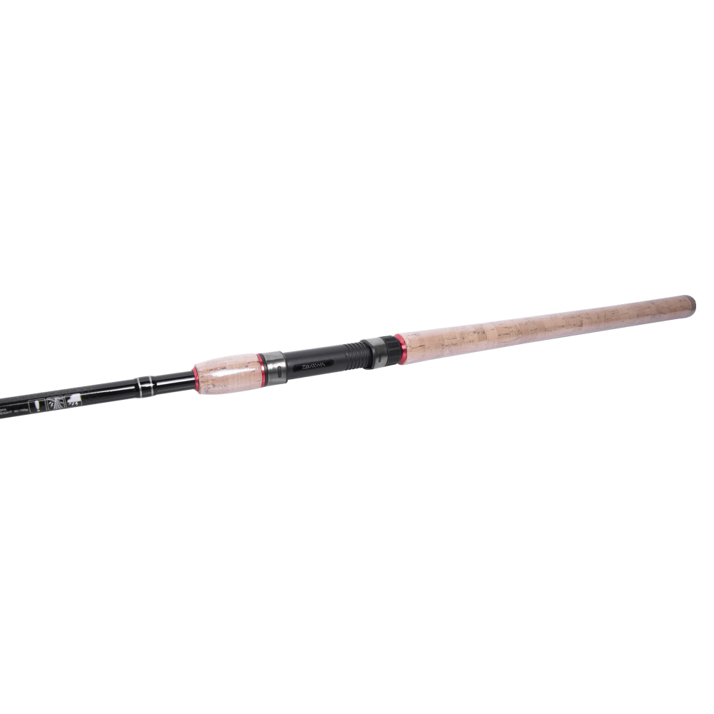 Спиннинг Daiwa SWEEPFIRE SPIN 2.70M 40-100G. Фото №3