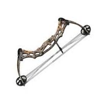Лук Hoyt ProHawk 29'' (27''-30'') Realtree AP PKG (блочный). Фото №1