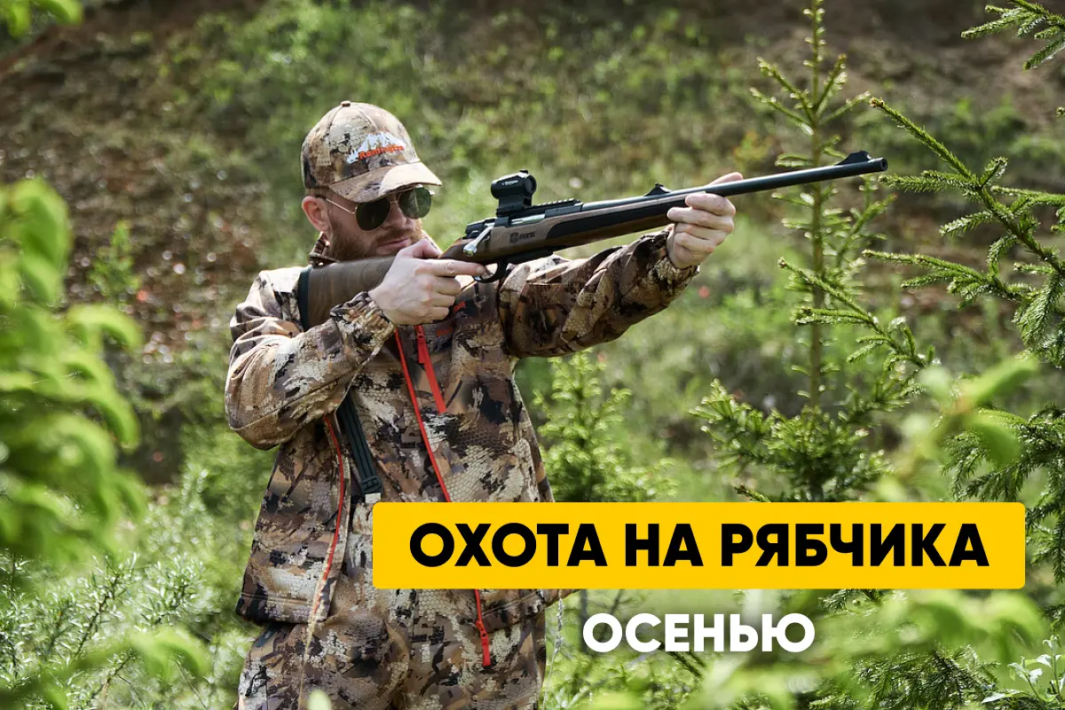 Охота на рябчика: сроки, время, способы, места обитания, выбор манка