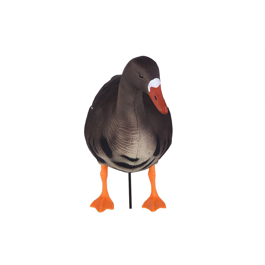 Чучело Sport Plast гусь Белолобый сторожевой