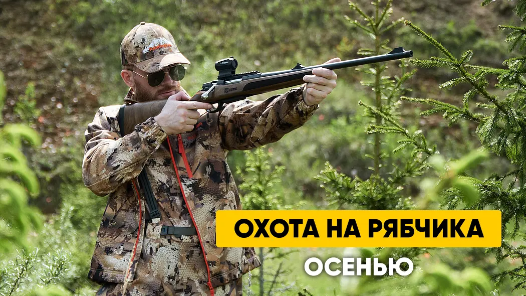 Охота на рябчика: сроки, время, способы, места обитания, выбор манка
