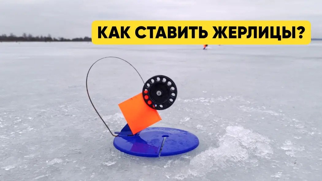 Как ставить жерлицы?