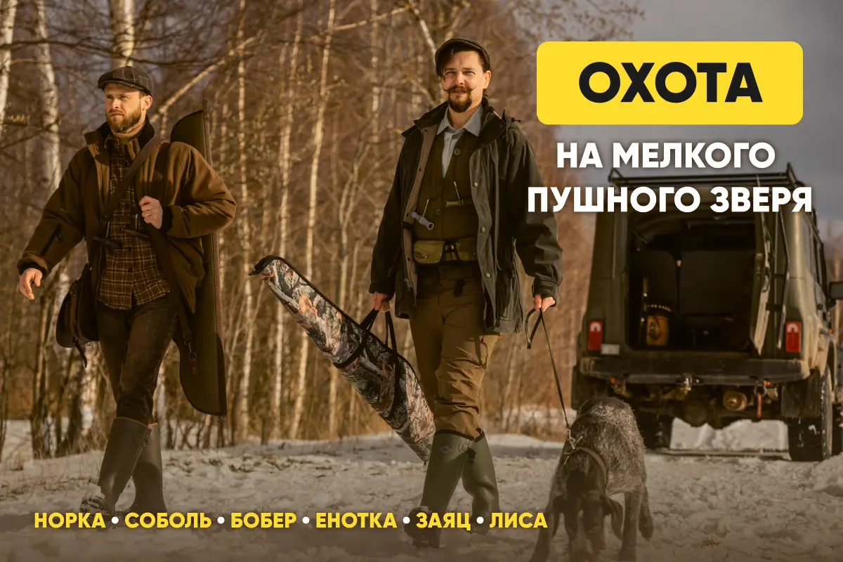 Охота на пушного зверя: лису, зайца, бобра, норку, соболя, енота