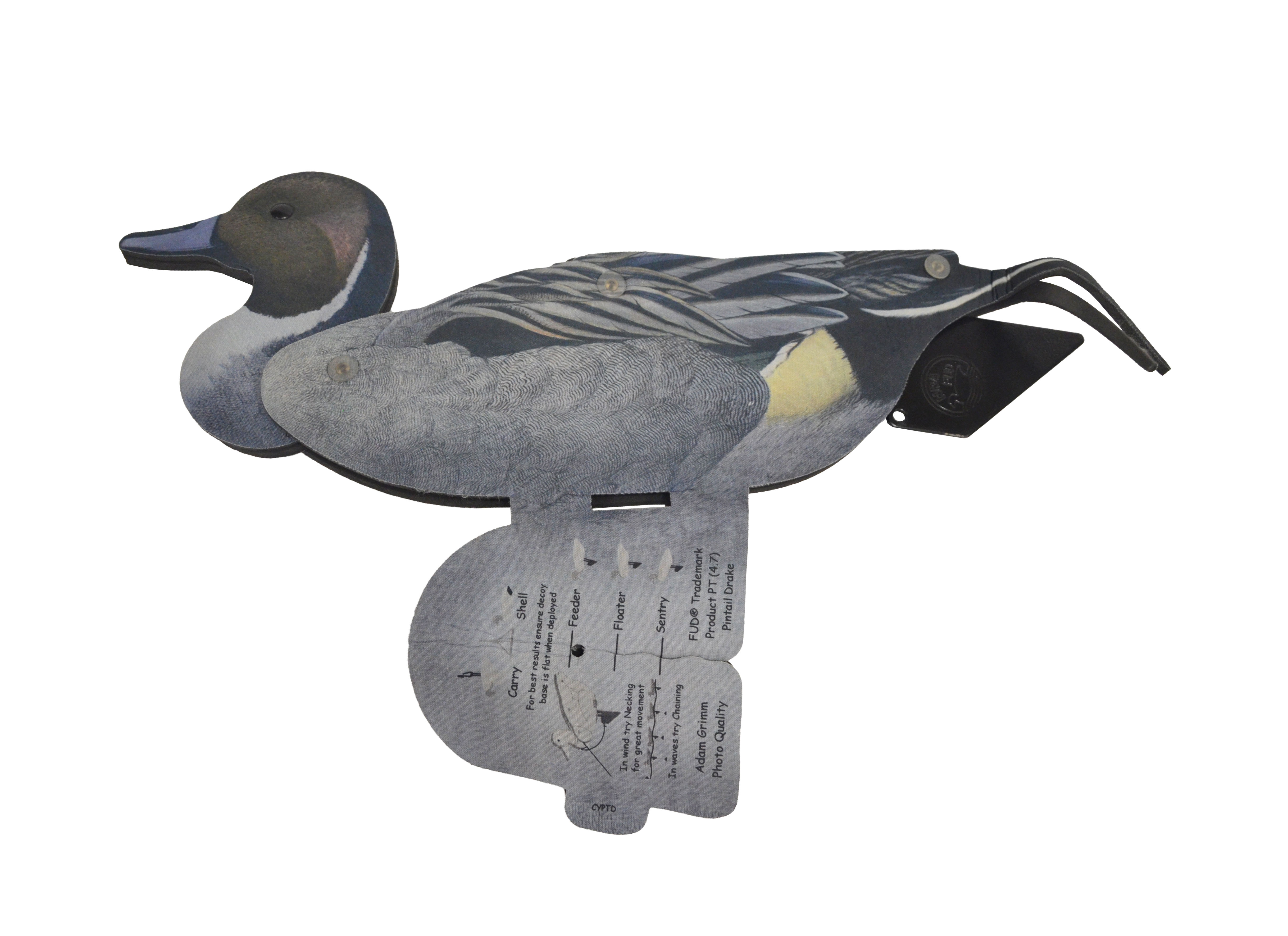 Чучело Шилохвость (утка, селезень) 6 шт.