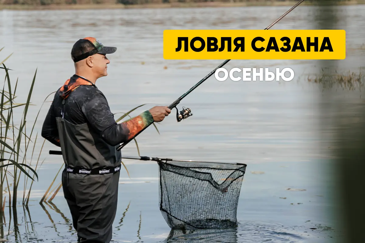 Ловля сазана осенью: особенности, места клева, прикормка, снасти