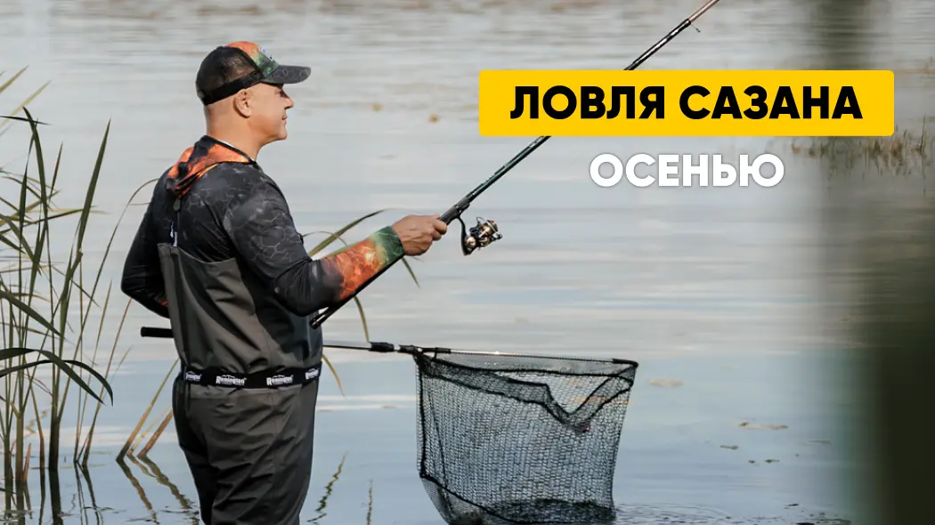 Ловля сазана осенью: особенности, места клева, прикормка, снасти