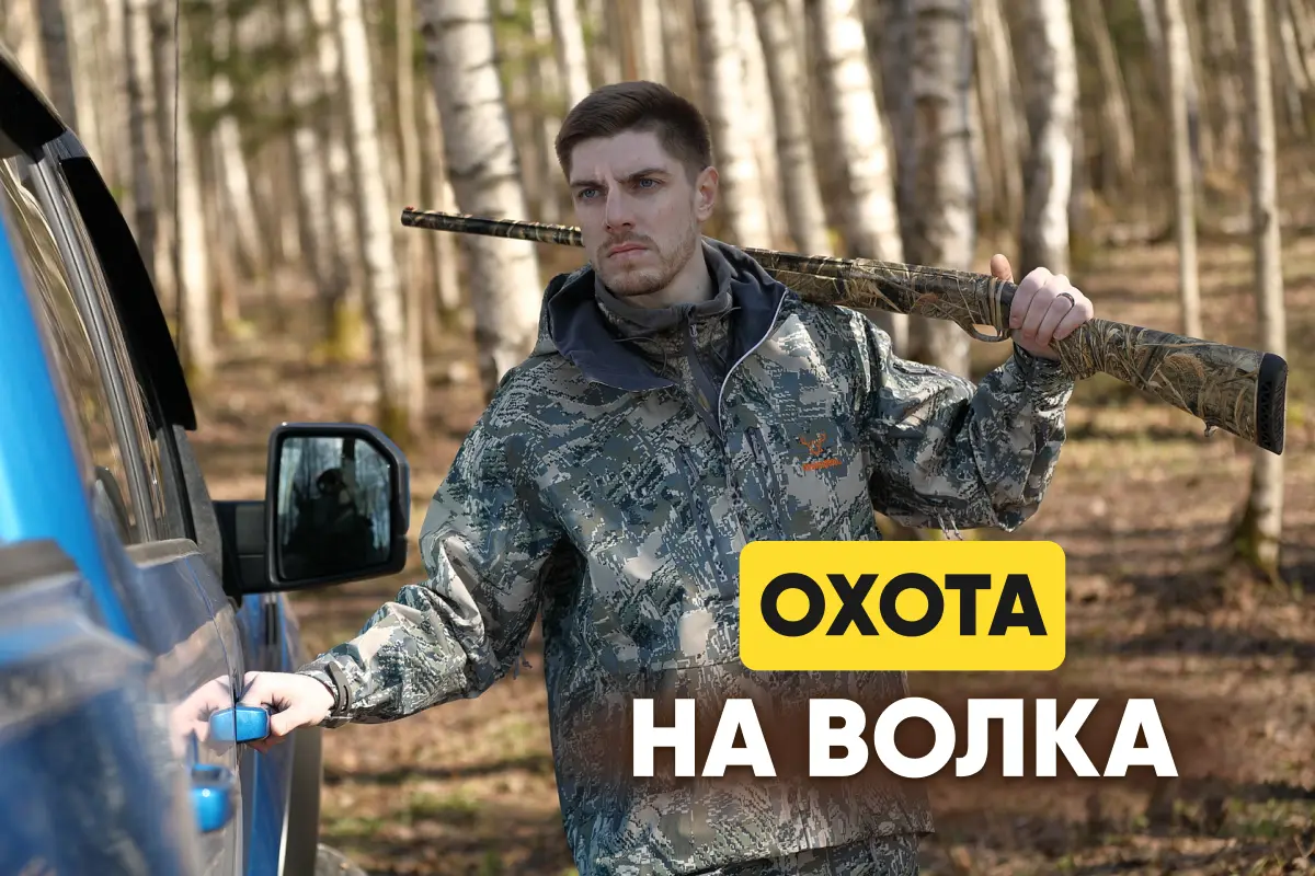 Охота на волка: скрадом, на вабу, на приваде, с флажками, с собакой