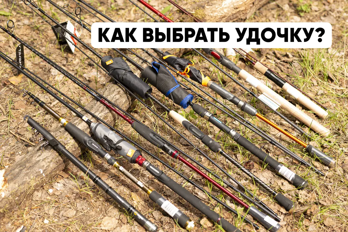Как выбрать удочку: критерии выбора, виды удилищ, особенности