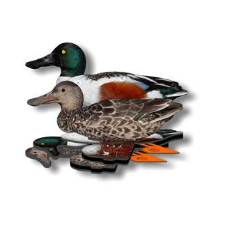 Комплект чучел уток NRA FUD Northern Shoveler (Широконоска). Фото №2