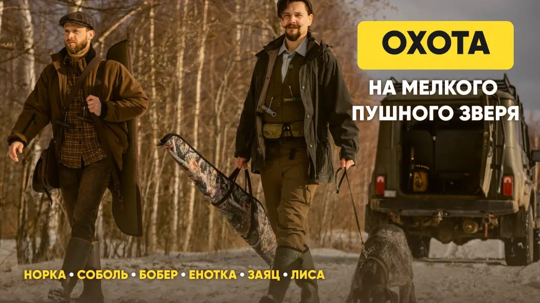 Охота на пушного зверя: лису, зайца, бобра, норку, соболя, енота