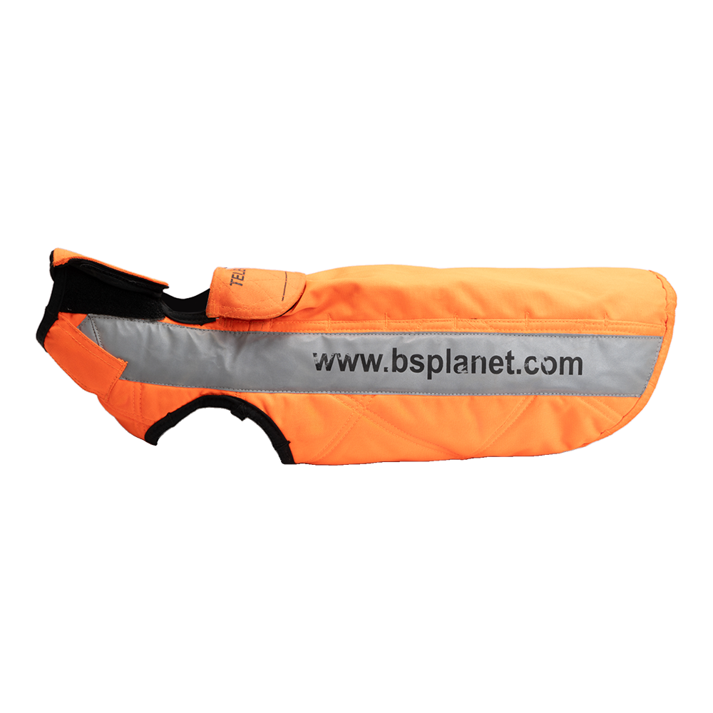 Жилет BS Planet для собак (самец). Фото №1