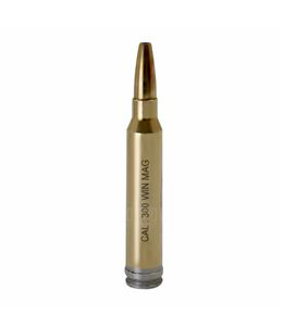 Патрон холодной пристрелки Remington, калибр  308Win. Фото №1