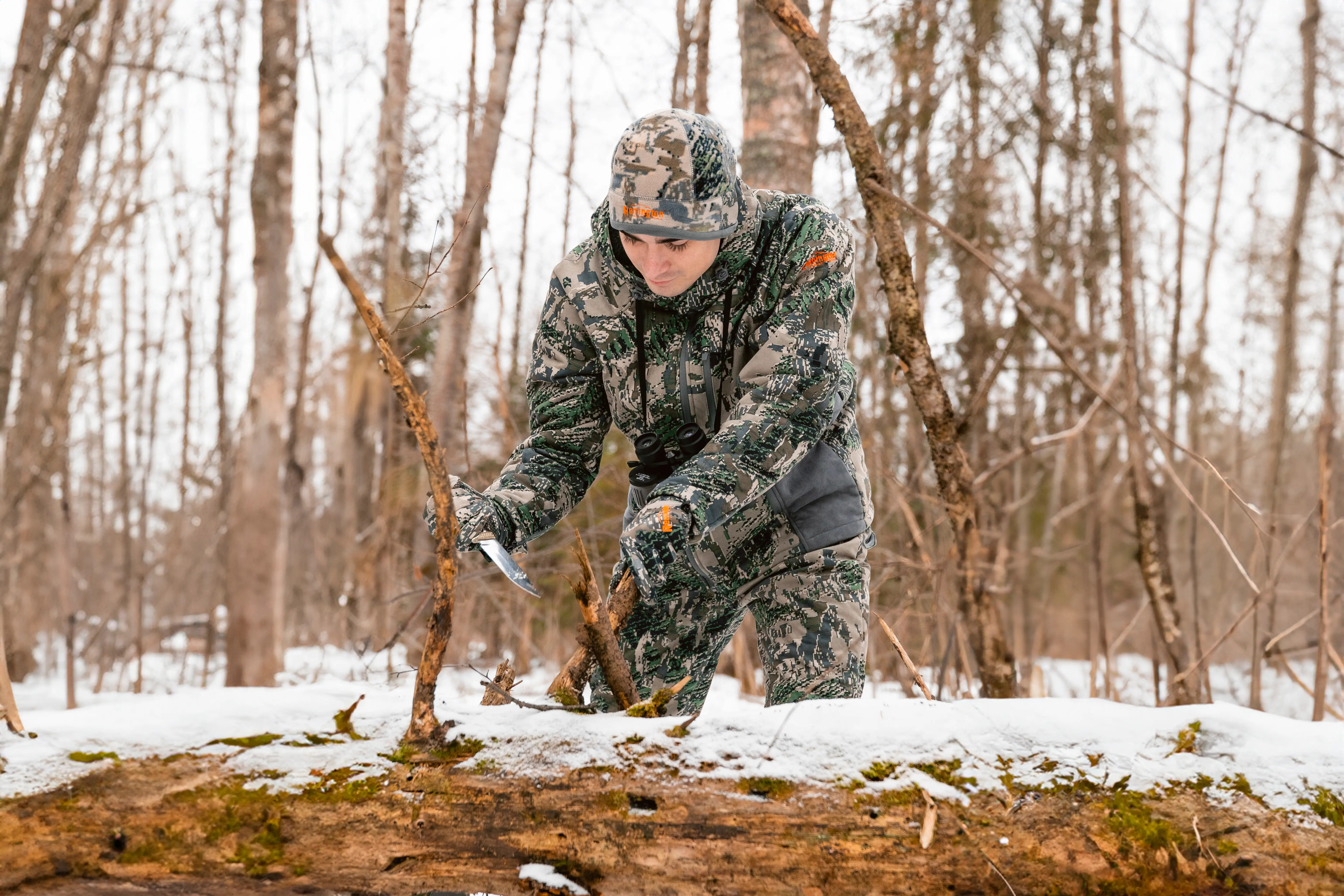 сезон охоты на оленей