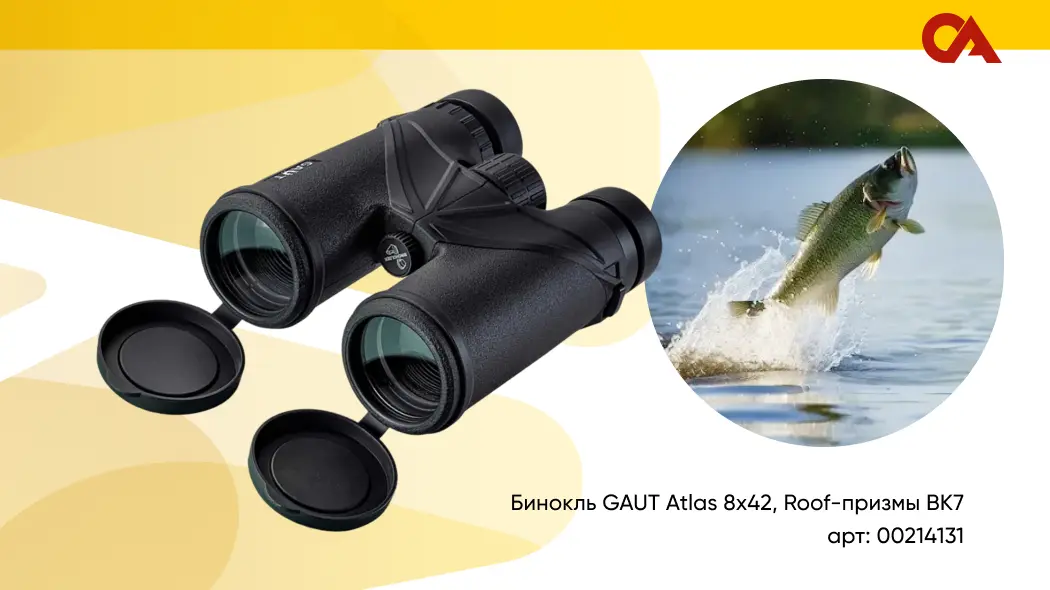 кратность бинокля