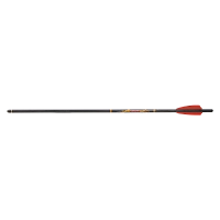 Стрела арбалетная Centershot Bolt, карбон, 22" (56.5 см), оперение Q2i Fusion X-2 3", латунный инсерт