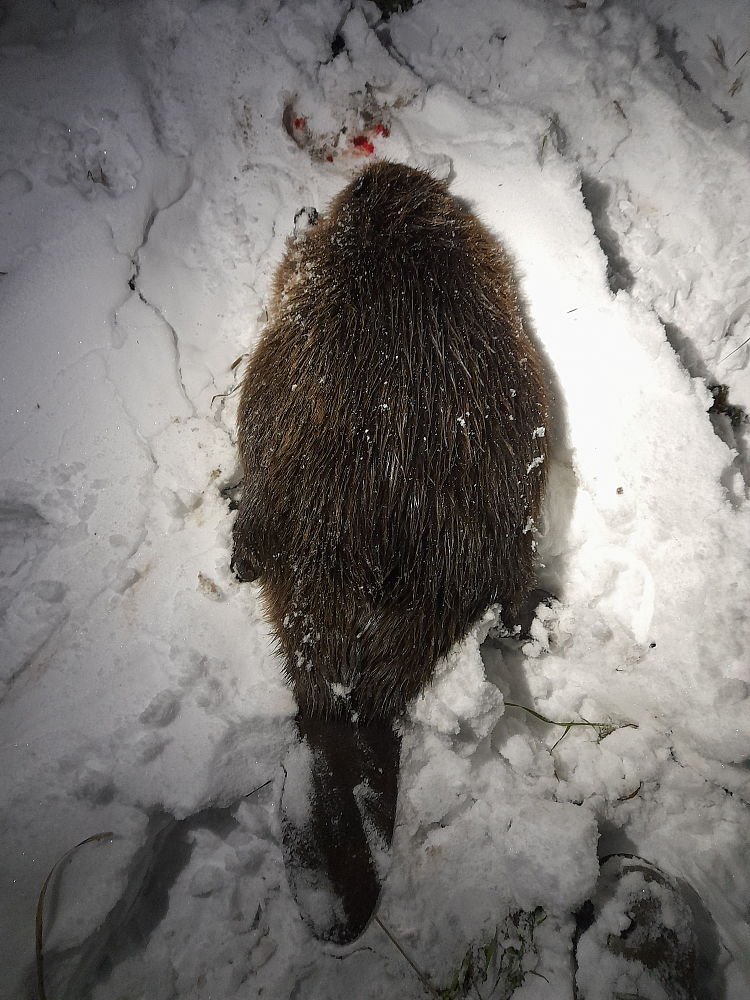 Пользователь #396490