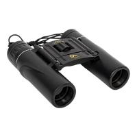 Бинокль OA Professional 10x25 BK7 черный