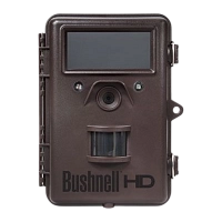 Камера 8MP Trophy Cam HD Brown