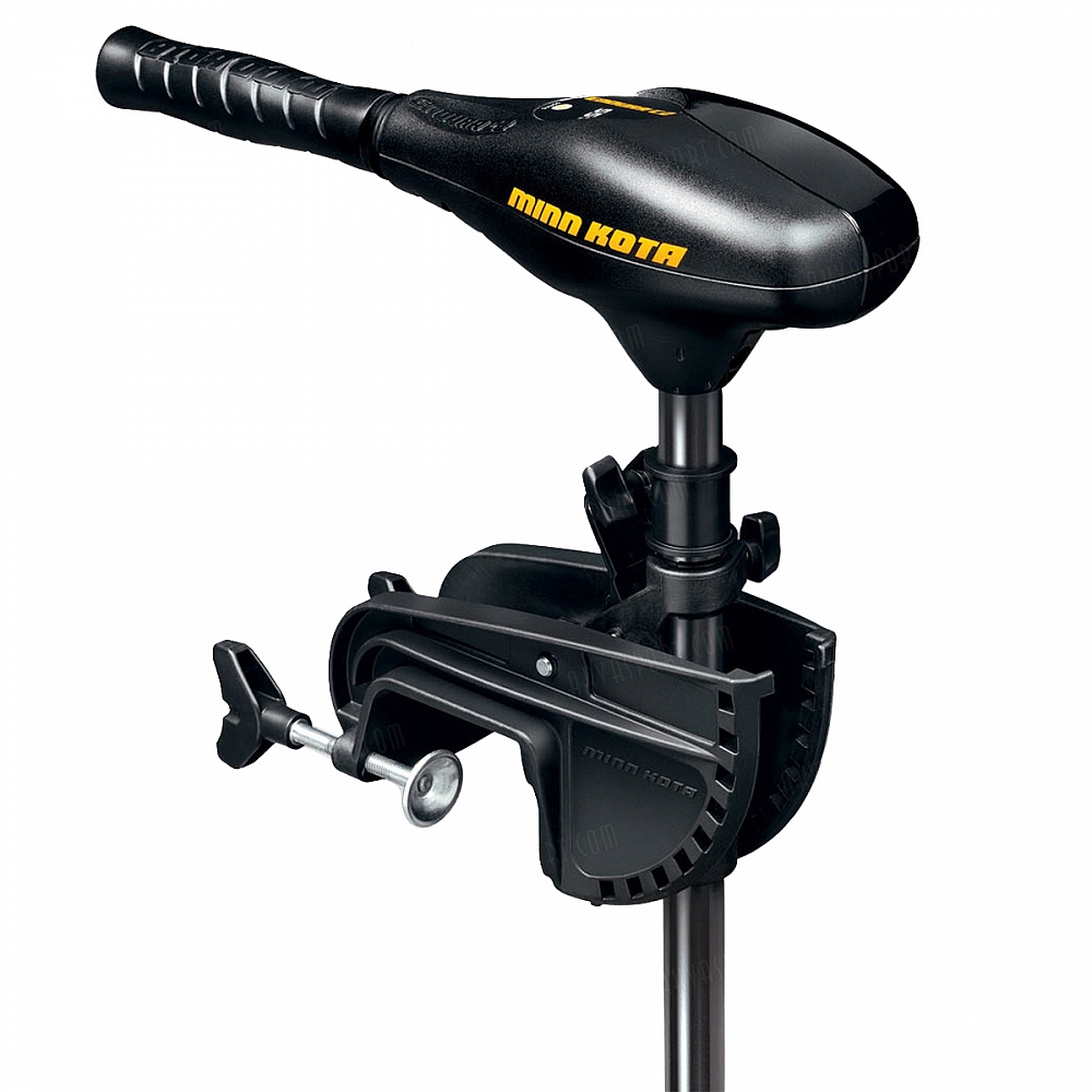 Лодочный электромотор ENDURA 45 C2 BATTERY MTR. Фото №1