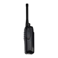 Радиостанция Аргут А-25