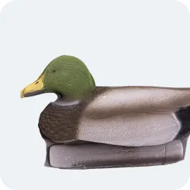 Муляжи